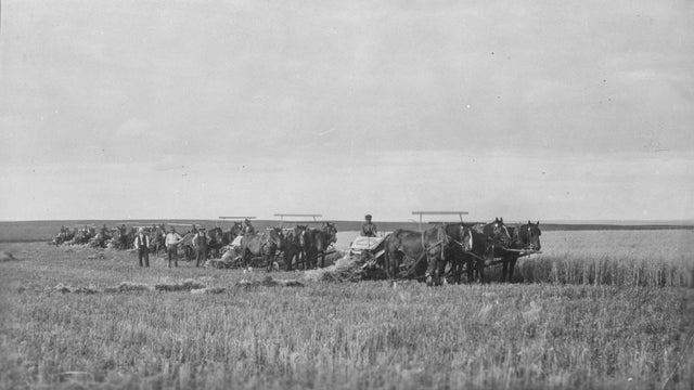 Edwin Viberg: Entrepreneur - VIBERG